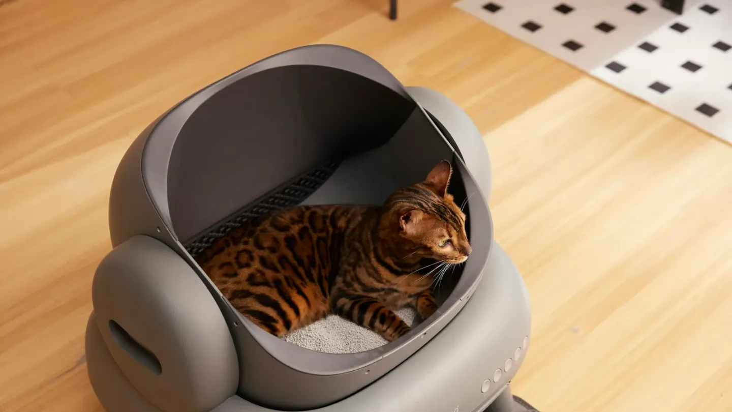 猫トイレの臭い対策グッズおすすめ5選